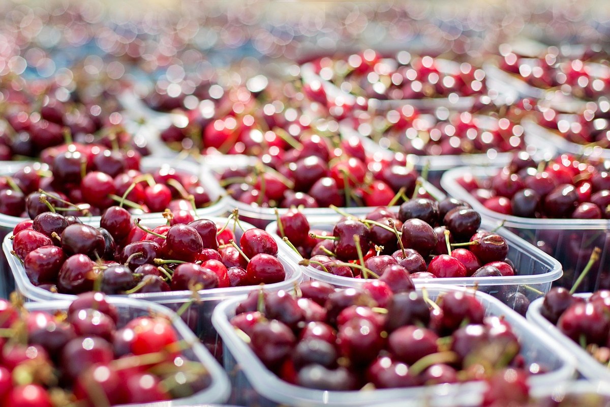 Farmers Market Breakfast Tour 5