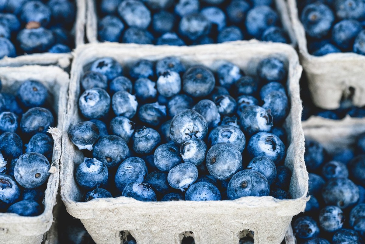 Farmers Market Breakfast Tour 6