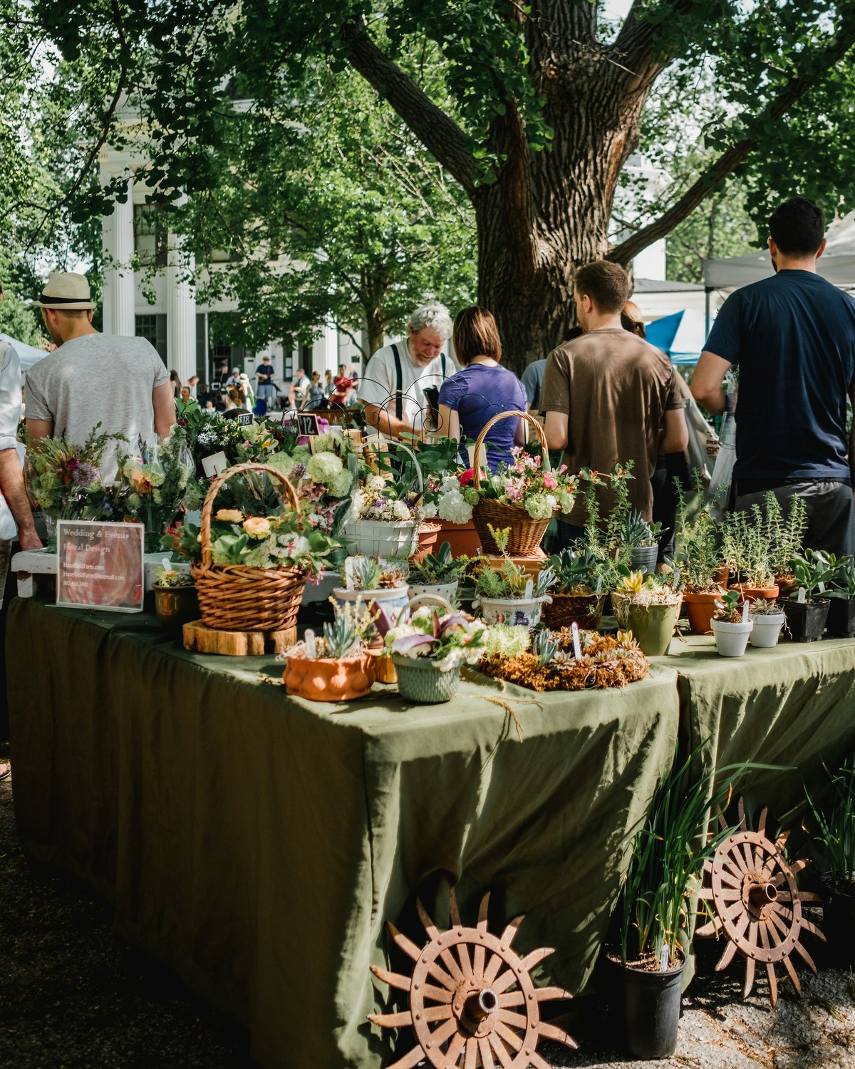 Farmers Market Shopping & Cooking 6