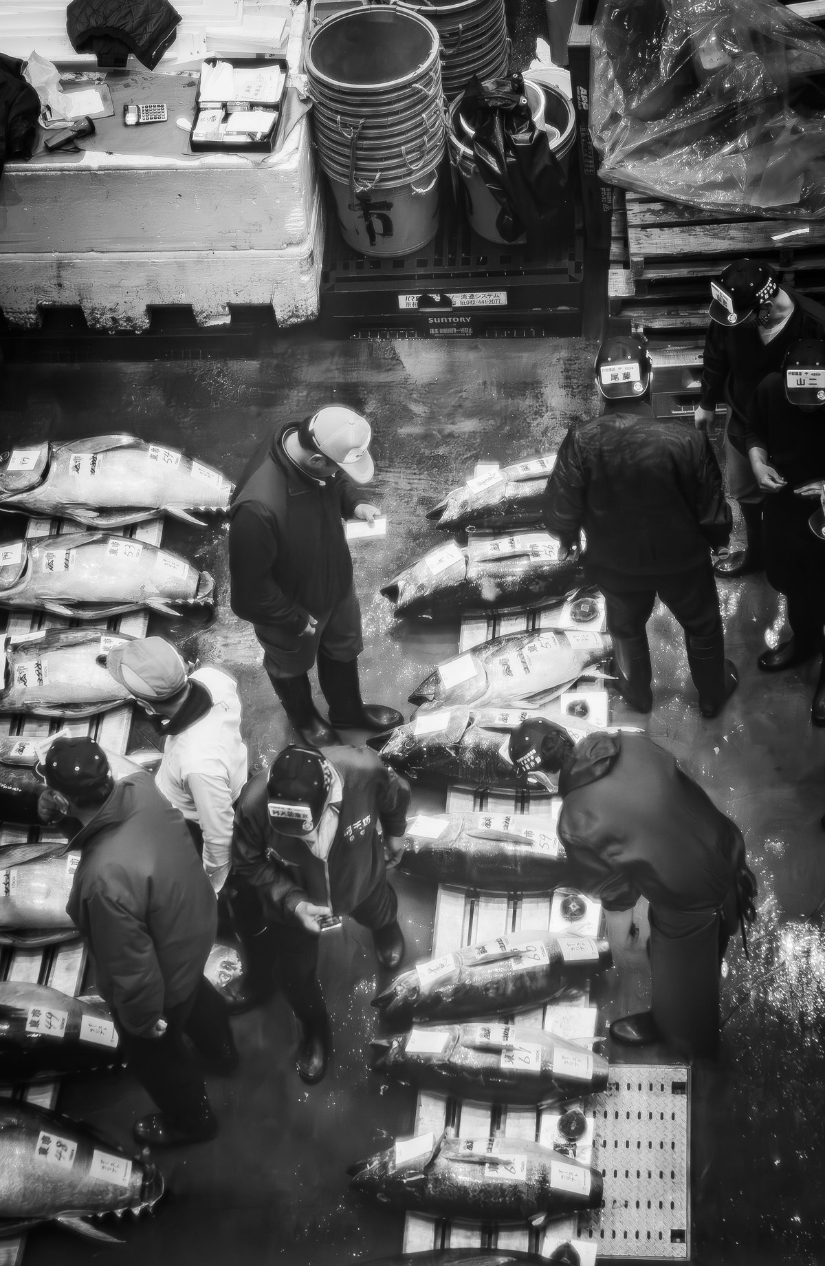 Fish Market Auction Visit 8