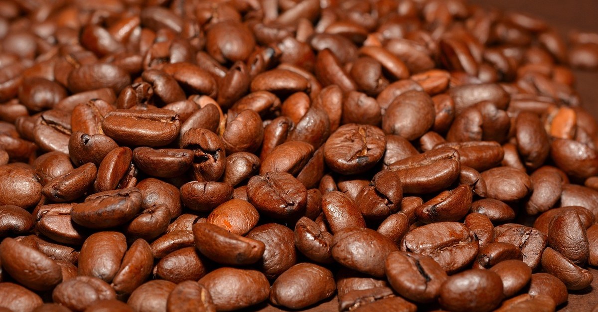 Manual Brew Methods Masterclass 4