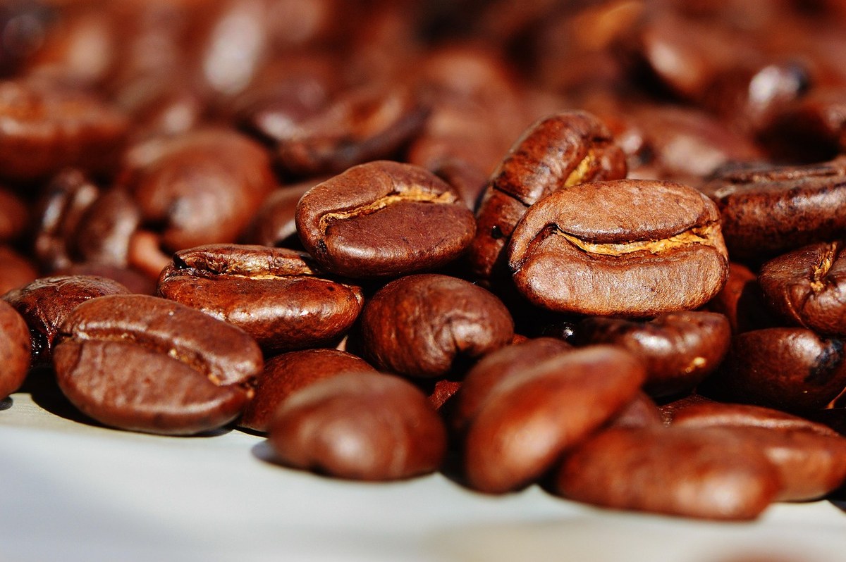 Manual Brew Methods Masterclass 5