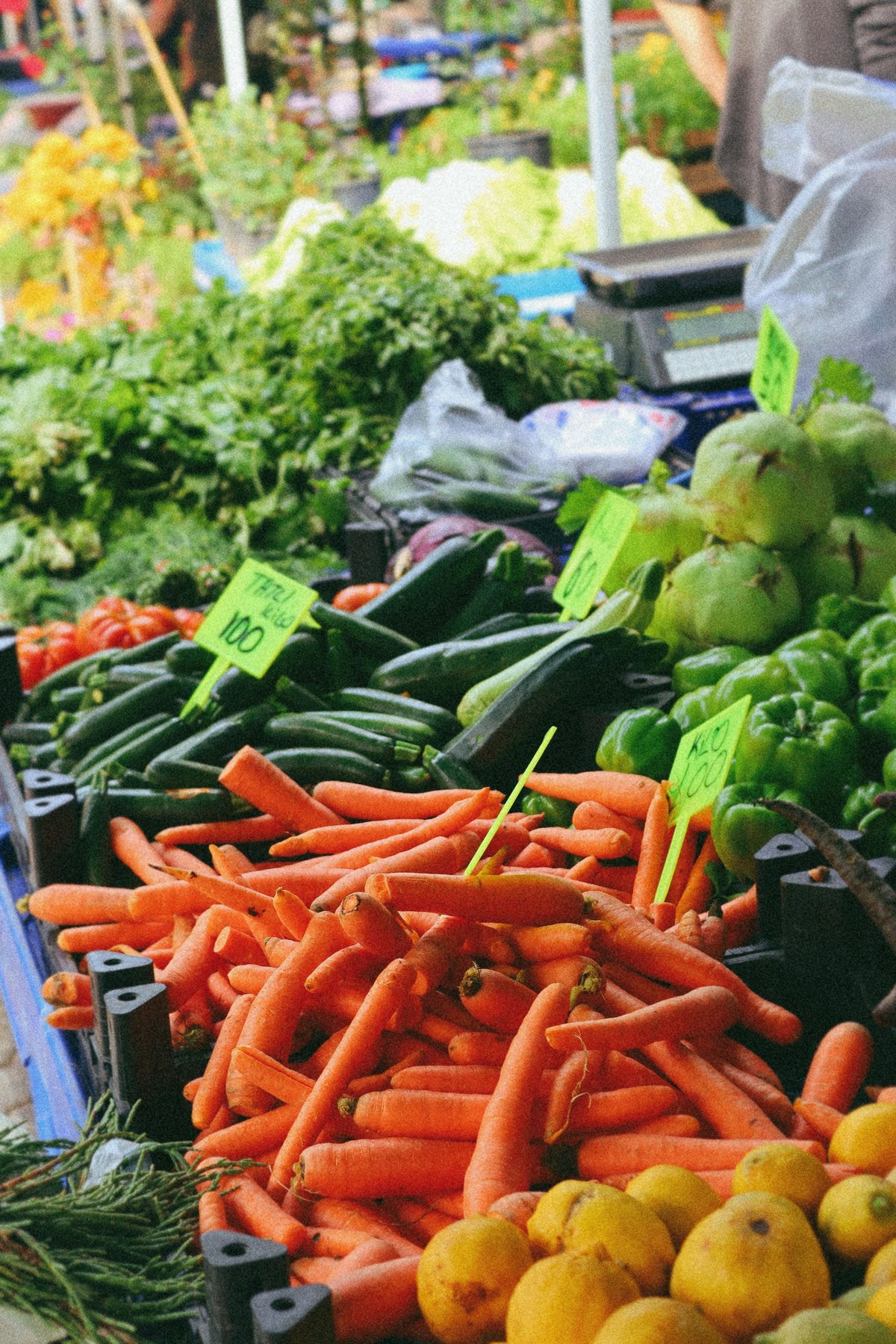 Market to Table: A Half-Day Culinary Journey 3