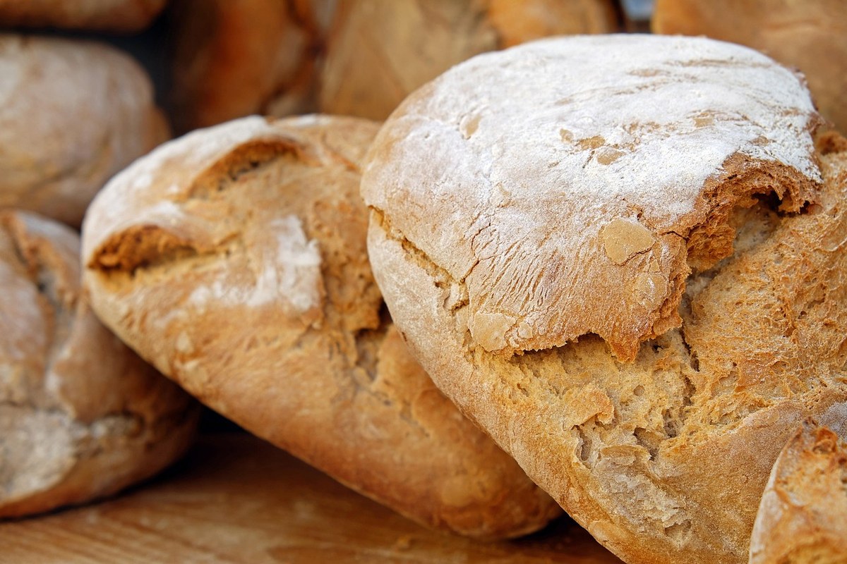 Sourdough Bakery Backstage Tour 2